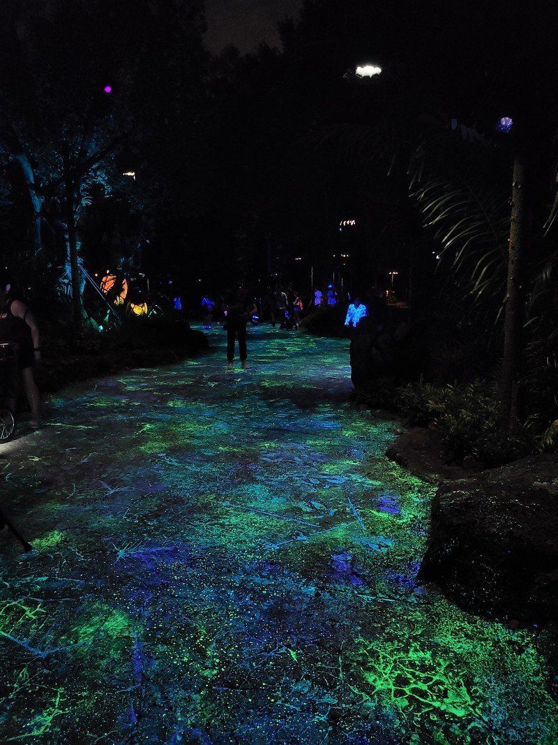Galaxy S20 capturing Pandora's walkways