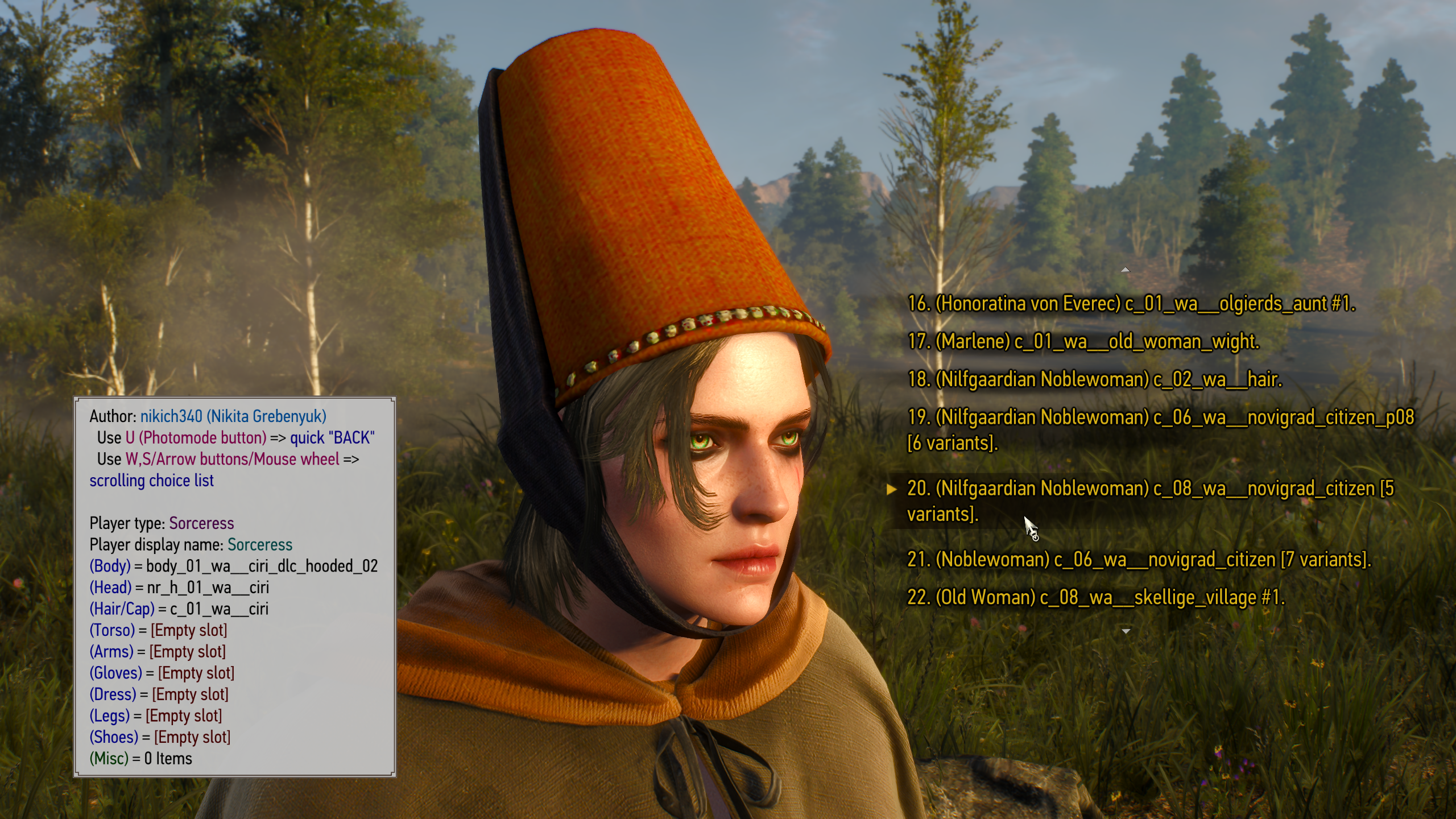 Witcher 3 custom character mod