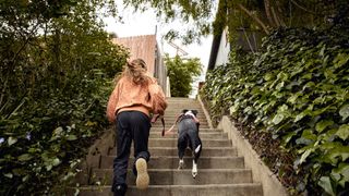 Easy ways to teach your dog new tricks — dog and owner running up the stairs