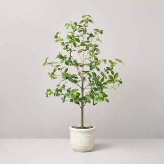 Faux Gypsophila Leaf Plant – Hearth & Hand™ with Magnolia