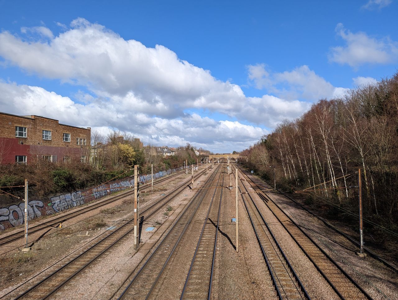 Google Pixel 7 Pro sample images