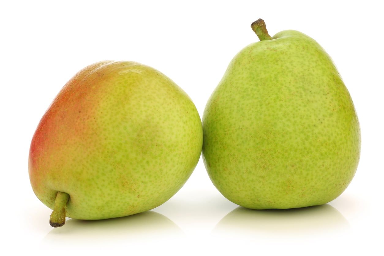 Green Anjou Pear Info: What Is A Green Anjou Pear Variety | Gardening
