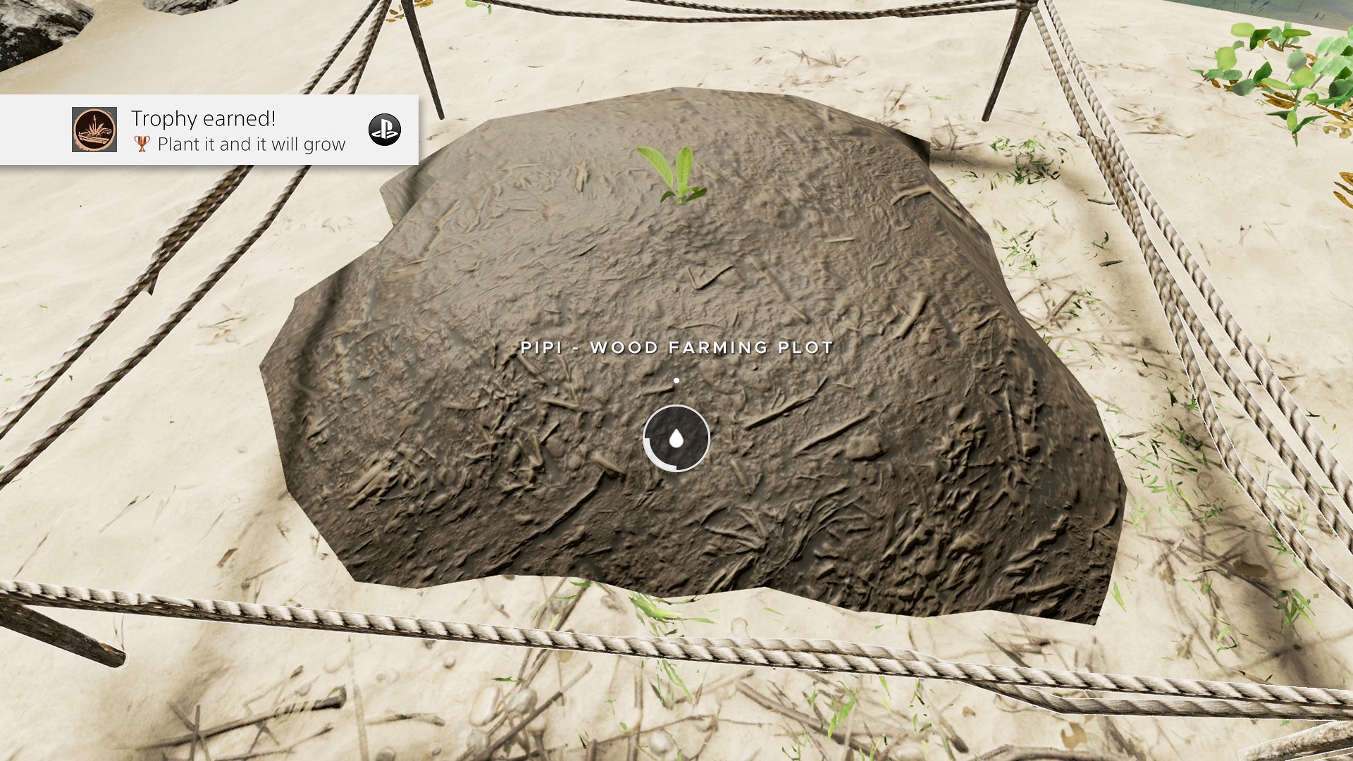 How to find the Pipi plant in Stranded Deep and craft a poison antidote