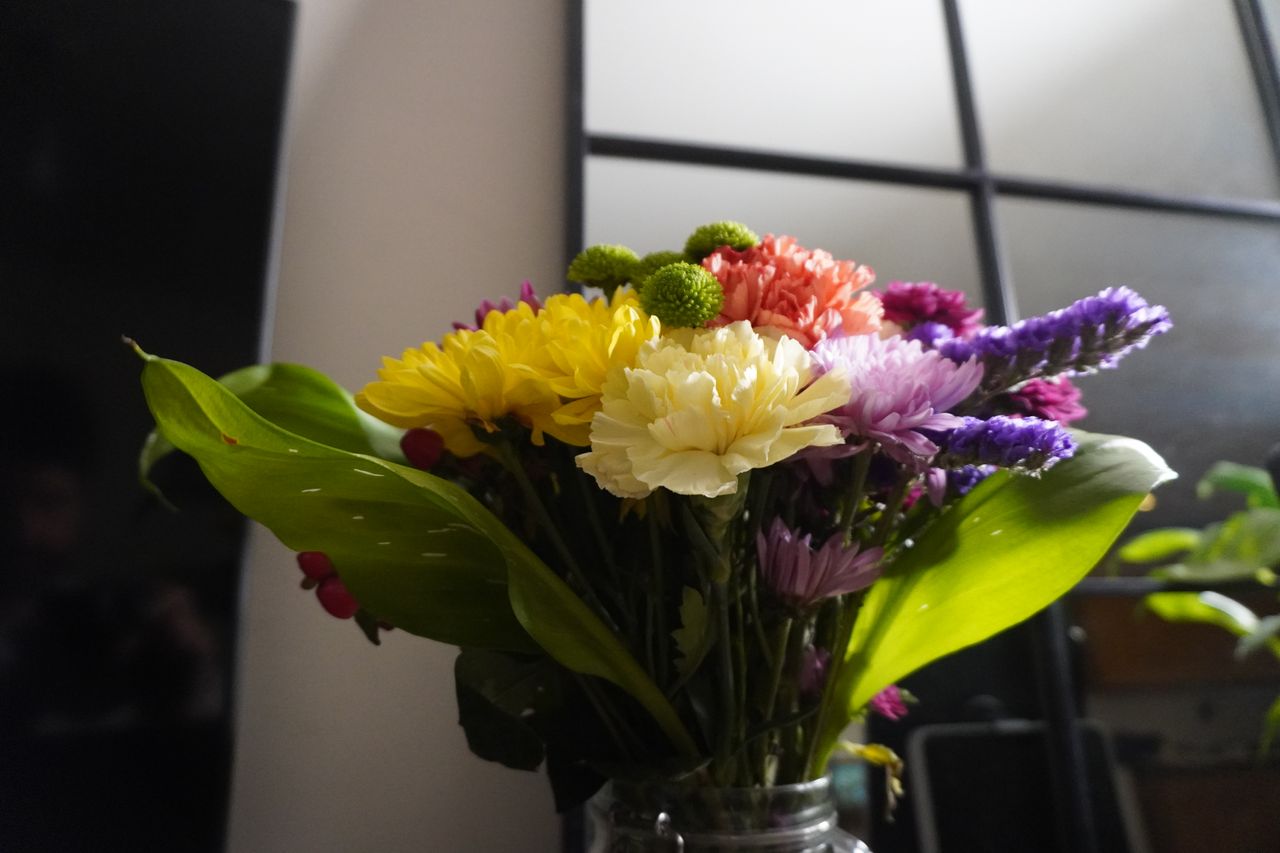 Sample photo shot on the Sony ZV-E10