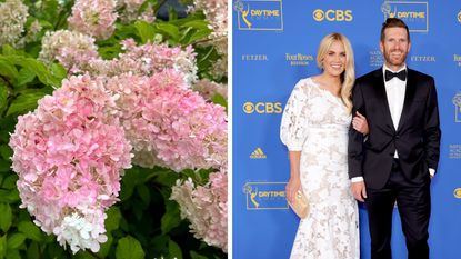 Pink hydrangeas next to a photo of syd and shea mcgee on a red carpet