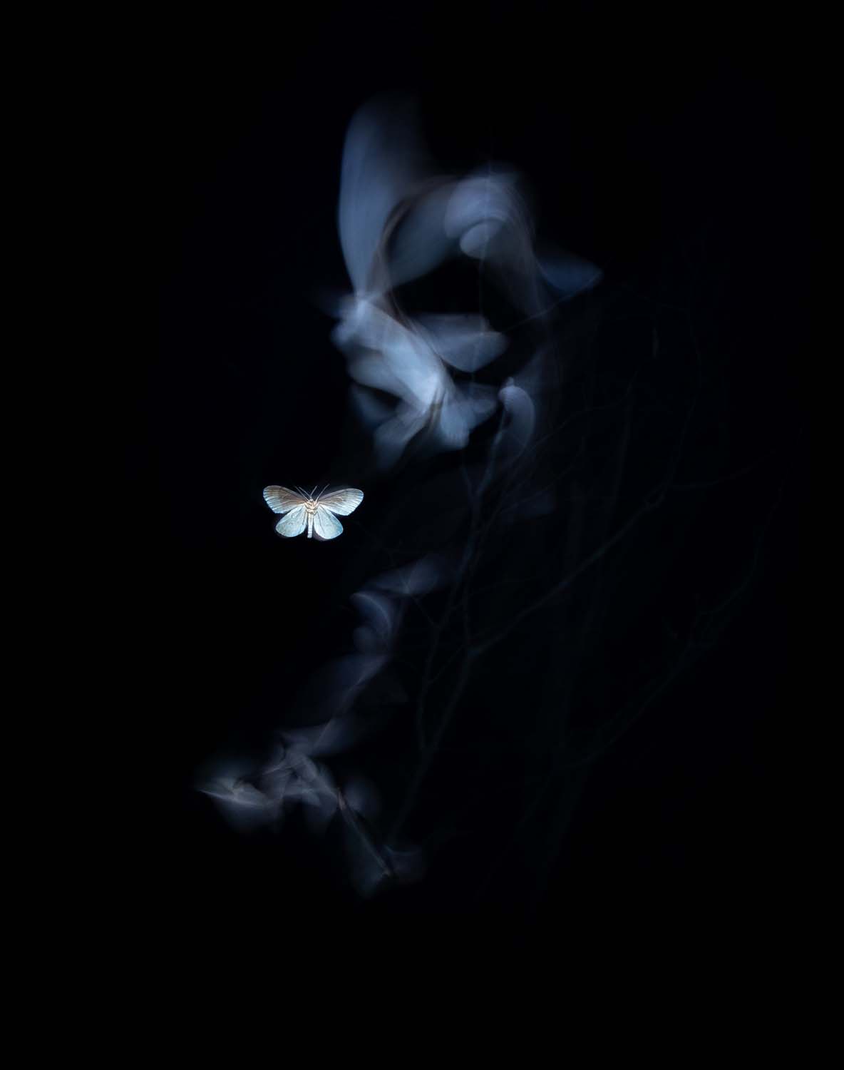 European Wildlife Photographer of the Year Award 2022