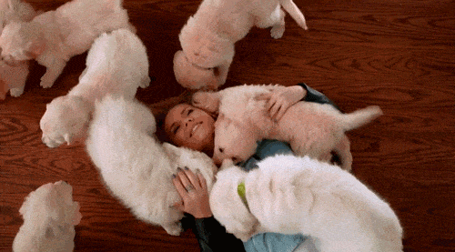 GIF - Puppies Cuddling Woman