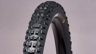 Specialized Cannibal downhill tire studio shot