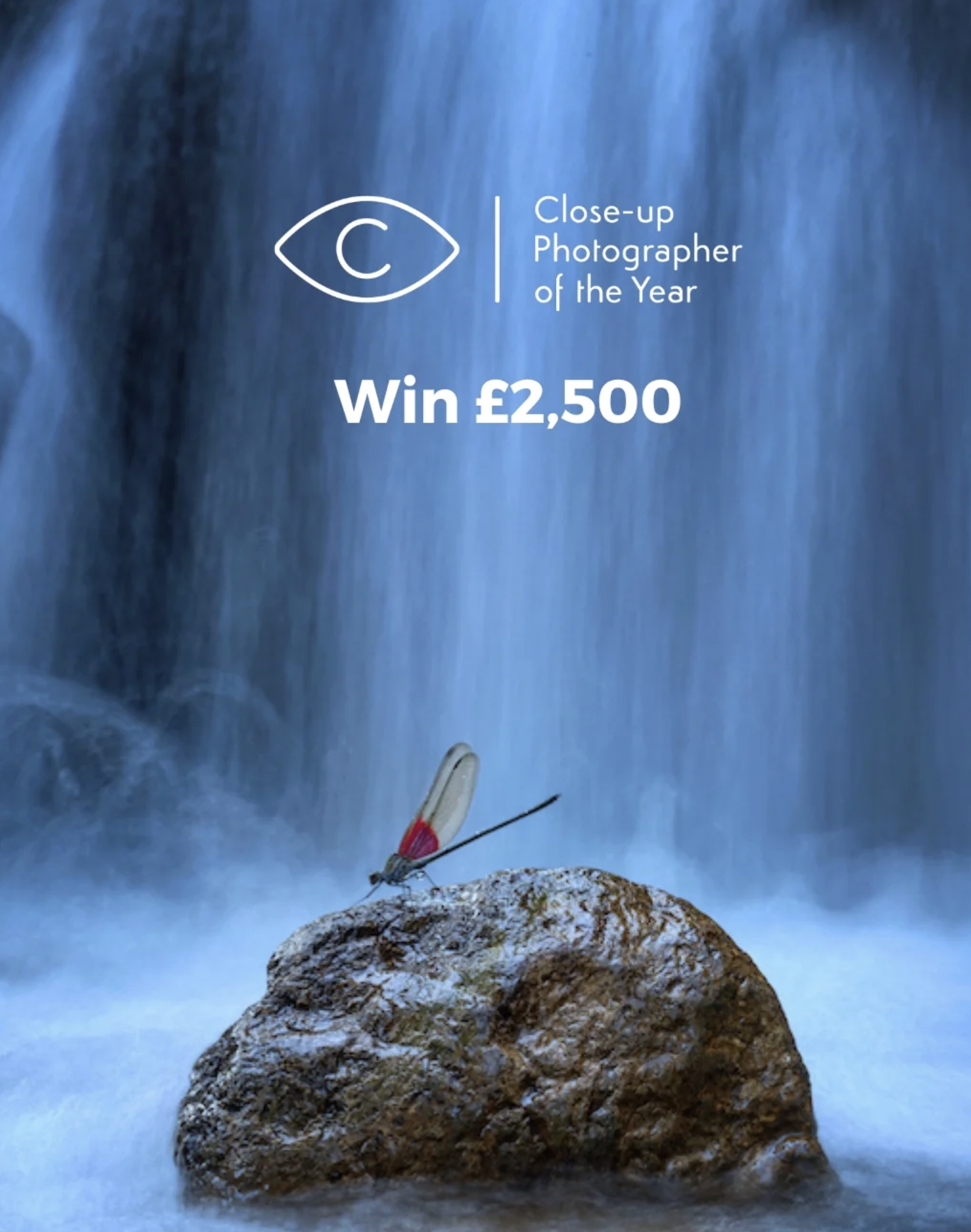 A dragonfly rests on a rock in front of a softly flowing waterfall, with text promoting the Close-up Photographer of the Year contest and prize