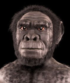 Homo habilis: no longer needed.