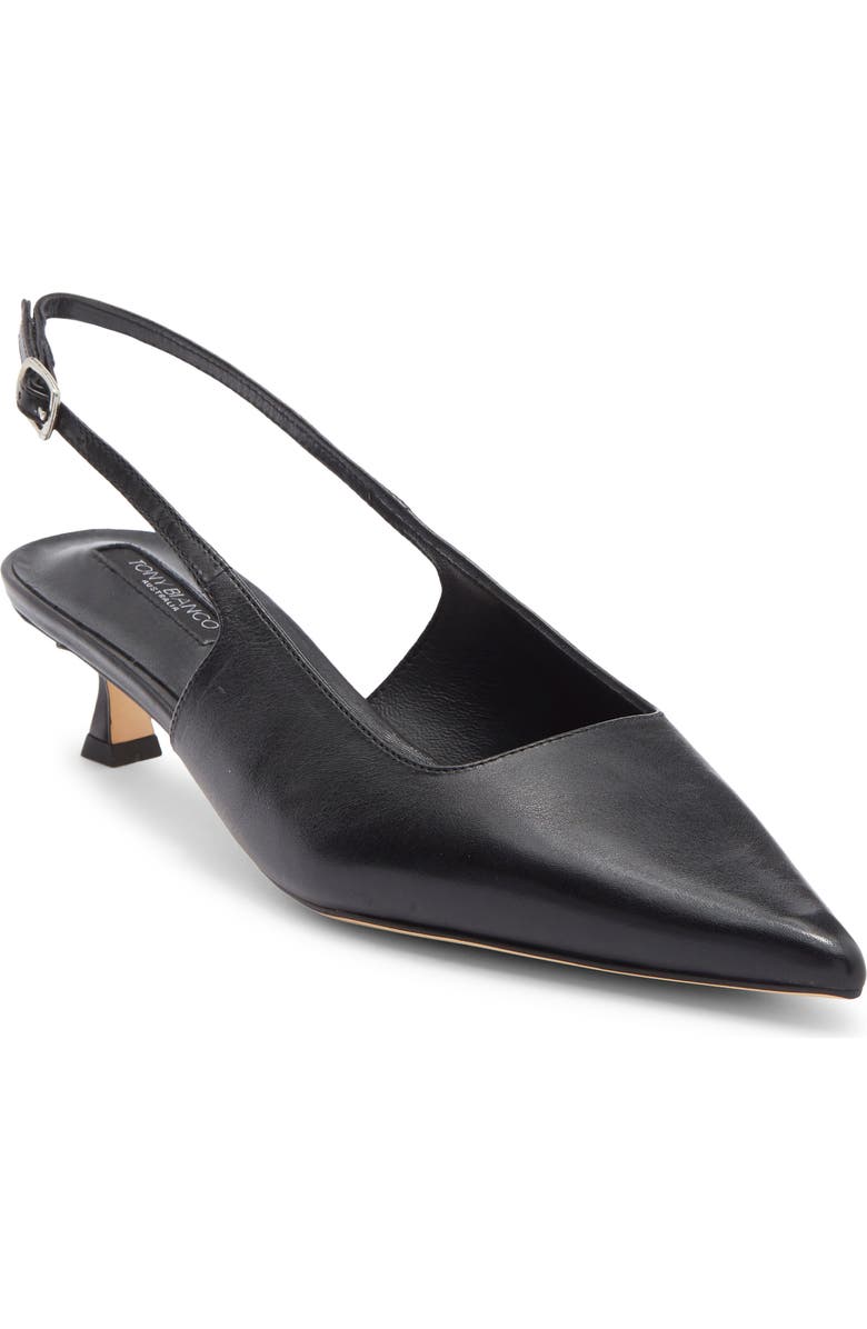 Crush Slingback Pointed Toe Kitten Heel Pump