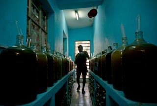 In this photo, taken on March 30, 2017, winemaker Orestes Esteves moves a jug of wine, at his house in Havana, Cuba.
