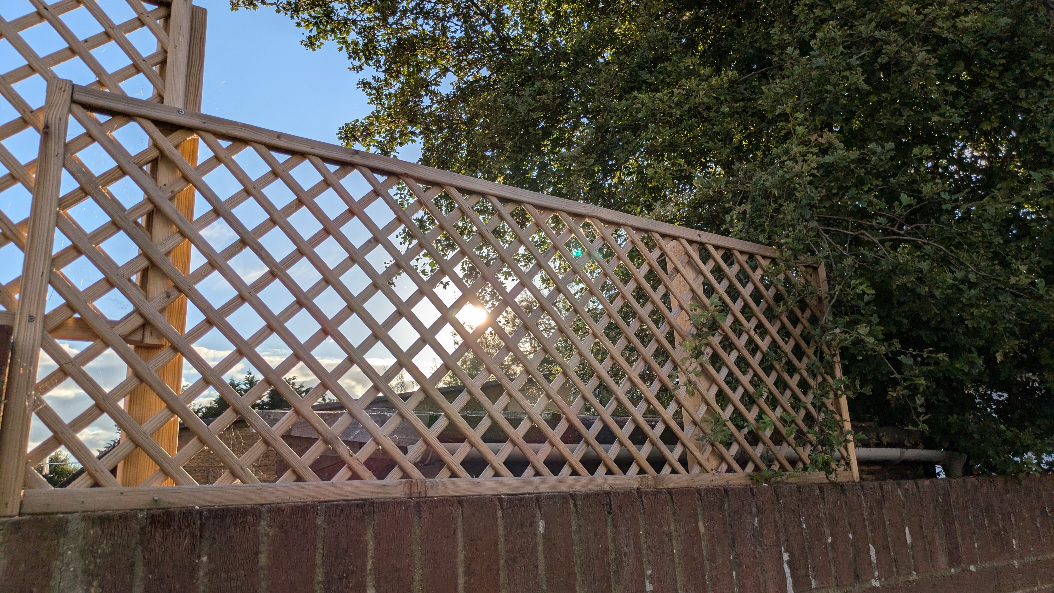 Google Pixel 8a sample photo of a trellis fence with blue sky in the background