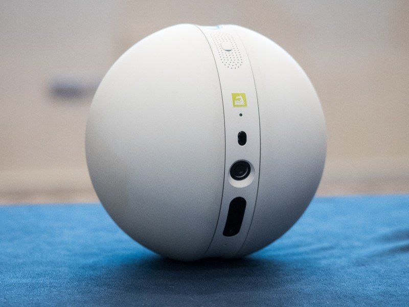 LG Roller Bot