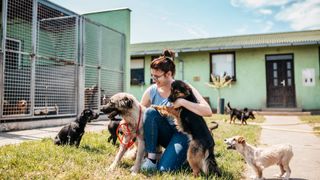 Woman playing with dogs