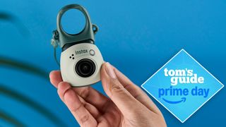 A Fujifilm Instax Pal