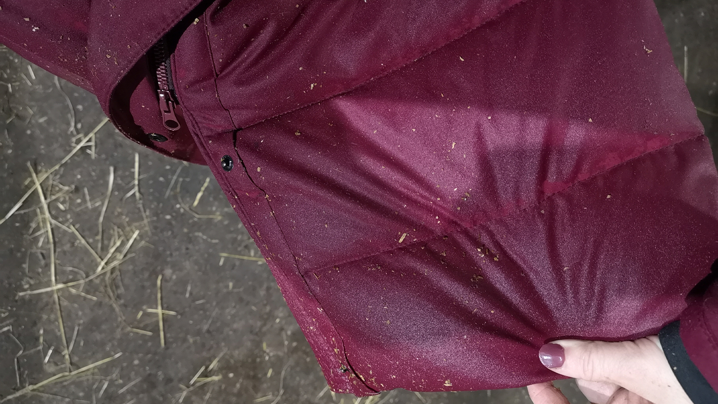Pikeur Renee Rain Coat after rain