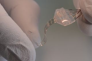 The e-Dura implant