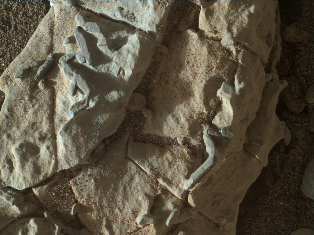 Curiosity Image of Weird Mars Tubes