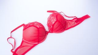 Close-Up Of Red Bra On Blue Background -