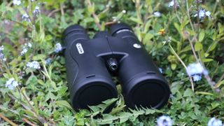 Celestron Nature DX ED 12x50 binoculars on some grass