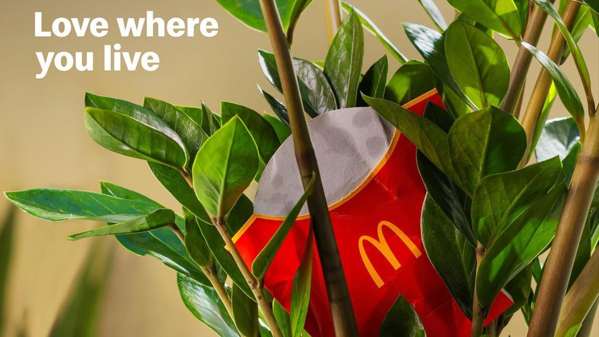 McDonald&#039;s fries box in a house plant