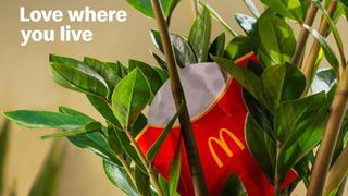 McDonald's fries box in a house plant