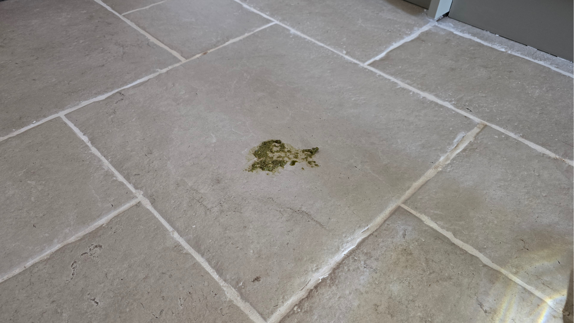 Pesto stain on kitchen floor