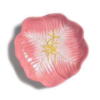Pink primrose flower plate