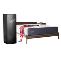 Save up to  799 in the Cocoon by Sealy Presidents  Day mattress sale - 69