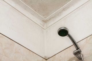 Mould above shower on ceiling and walls