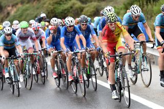 The Spanish team chases in the mens road race at the 2014 World Road Championships