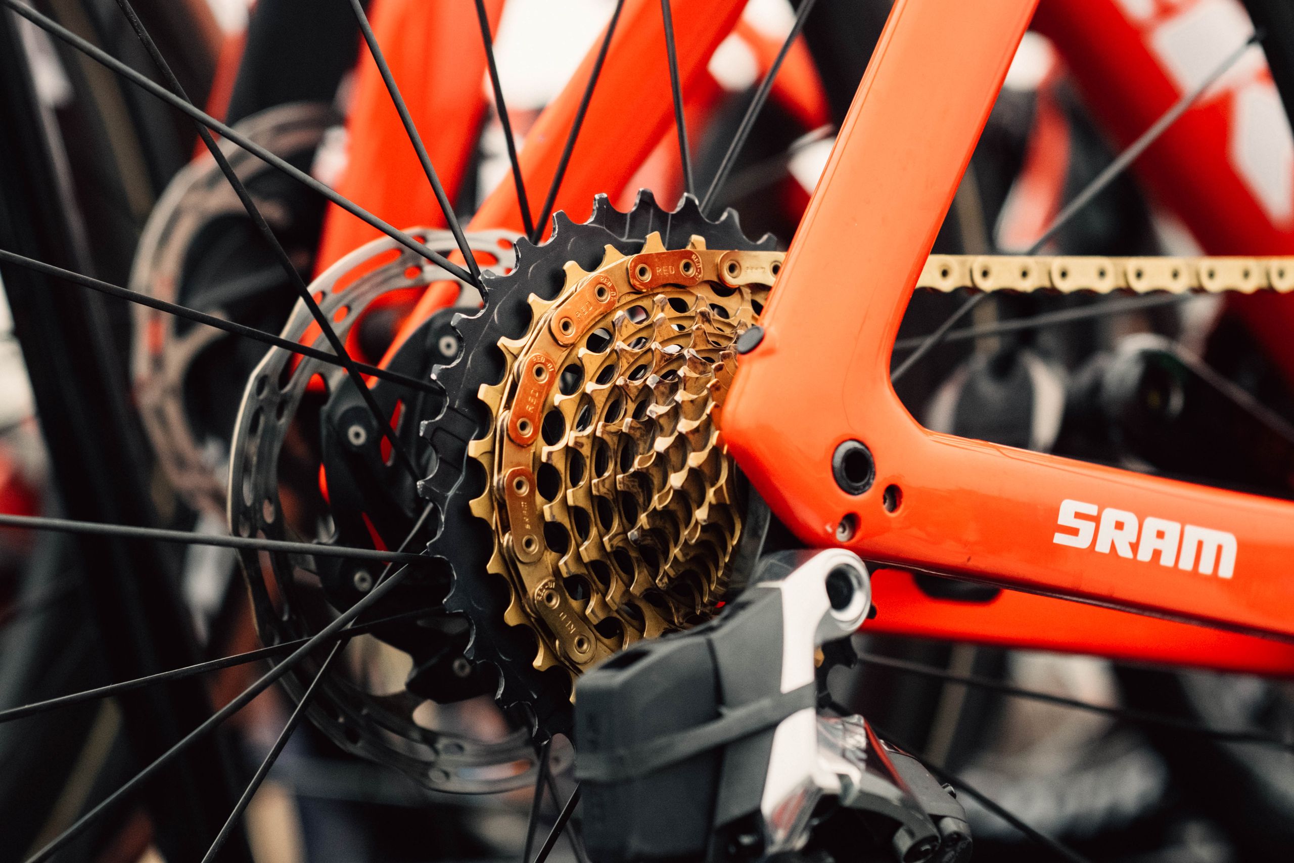 www.cyclingnews.com