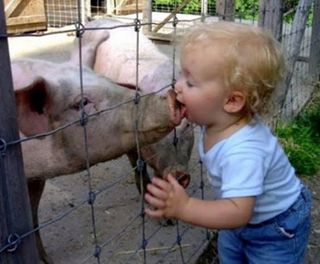 Internet Threat 10: Swine Flu