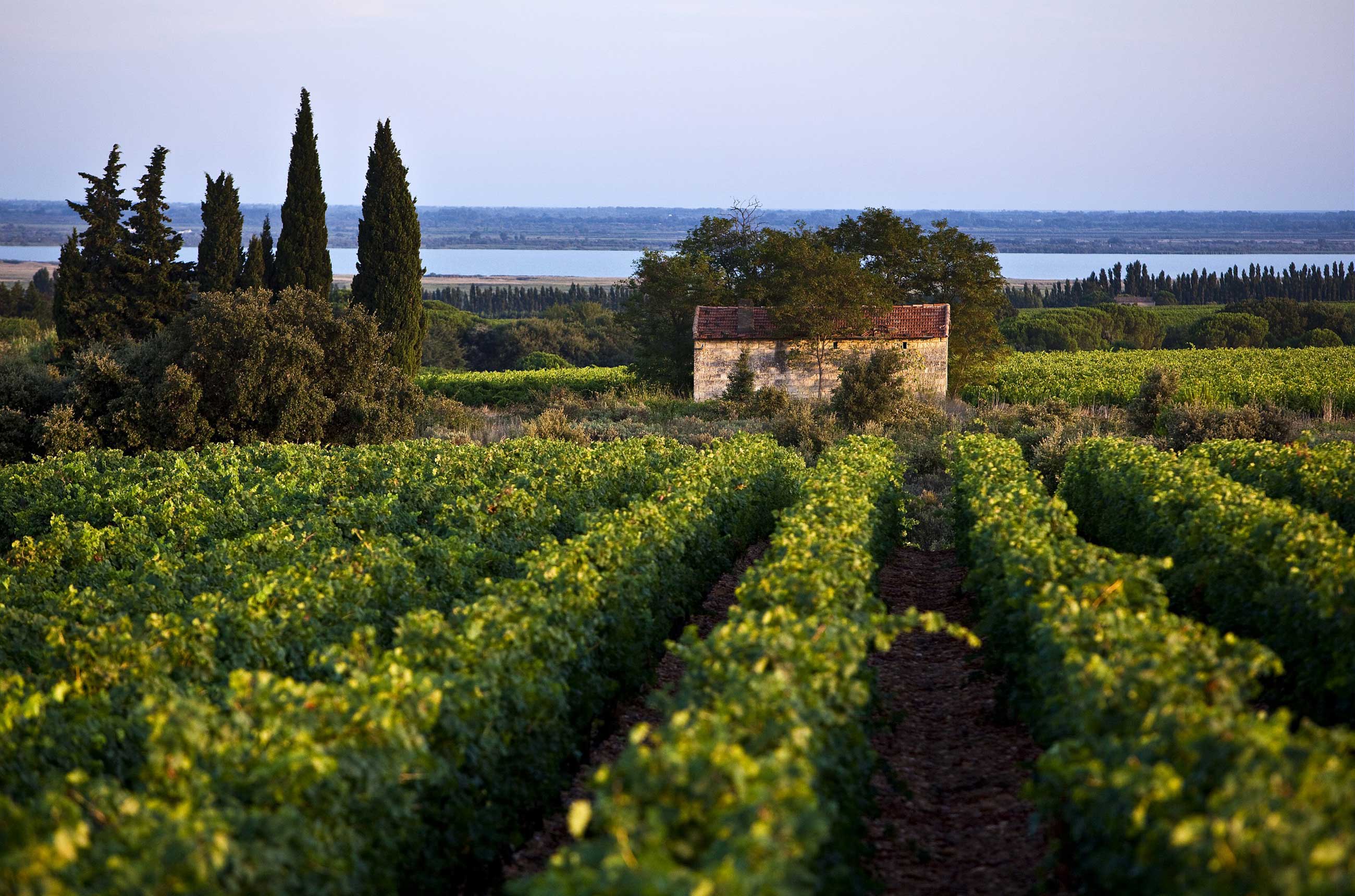 Costi&egrave;res de N&icirc;mes