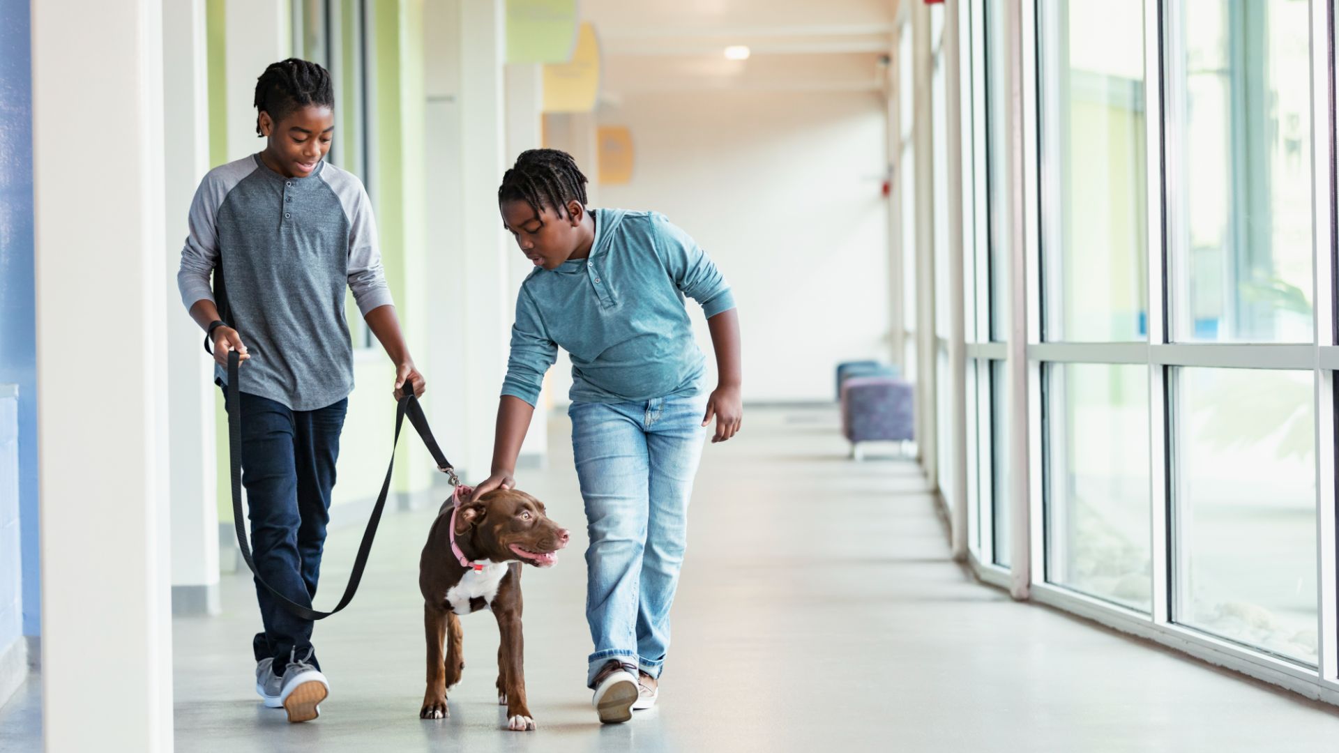 two boys collecting a dog from a shelter