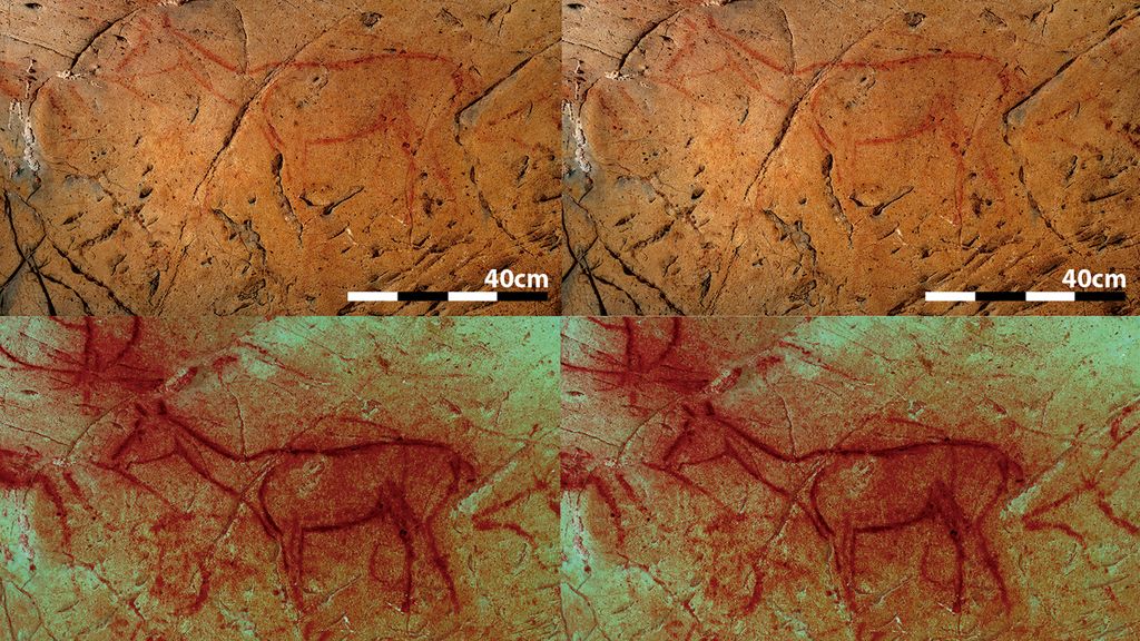 Centuries-old technique reveals hidden '3D' animals in Paleolithic cave ...