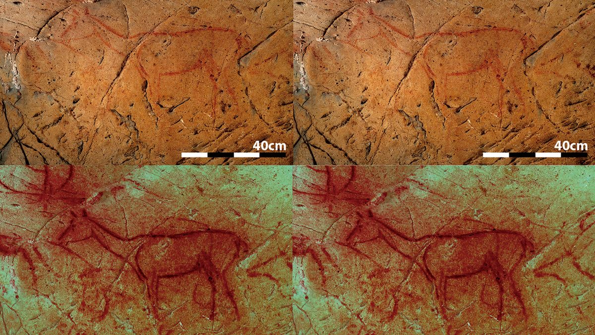 Centuries-old Technique Reveals Hidden '3d' Animals In Paleolithic Cave 