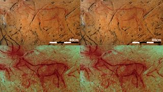 We see four images of a four-legged horse-like animal painted on a cave wall.