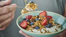 Bowl and spoonful of mealworm granola with yoghurt and fruit
