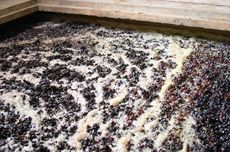open top fermentation