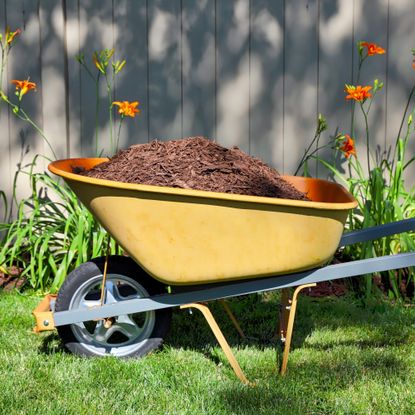 wheelbarrow full of mulch in yard 