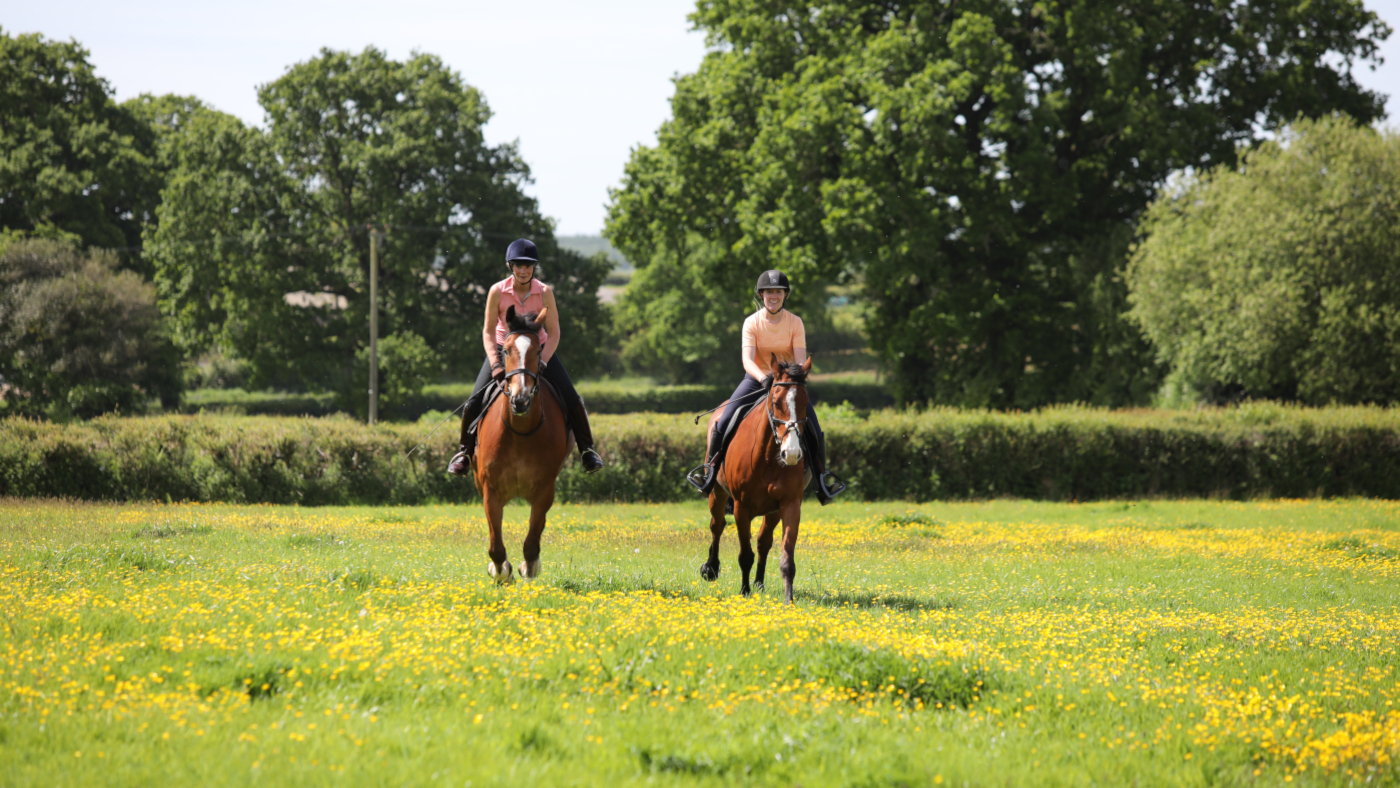 New menopause research has been published shining the light on the challenges women are facing in horse sport.