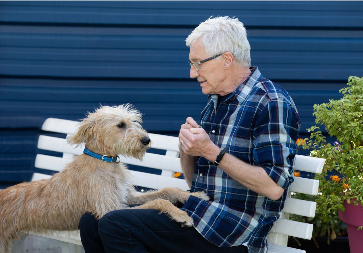 Paul O&#039;Grady meets Marti a lurcher puppy