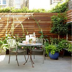 garden with table and chair 