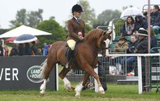 Lynuck-The-Showman_RWHS_PN18_19632.jpg