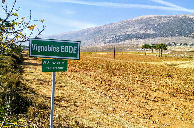 tempranillo, red wines from lebanon