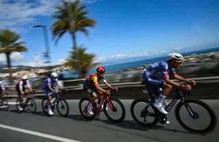 The pack rides along the coastline, during the 115th Milan-SanRemo one-day classic cycling race, between Pavia and SanRemo, on March 16, 2024. (Photo by Marco BERTORELLO / AFP)