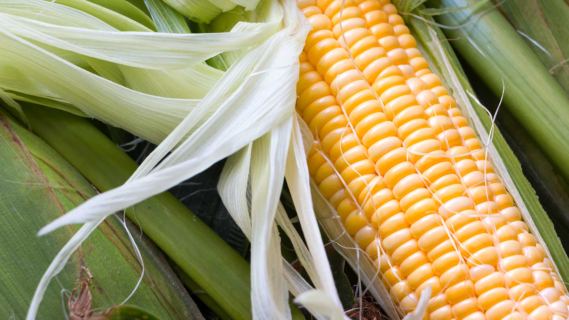 sweetcorn