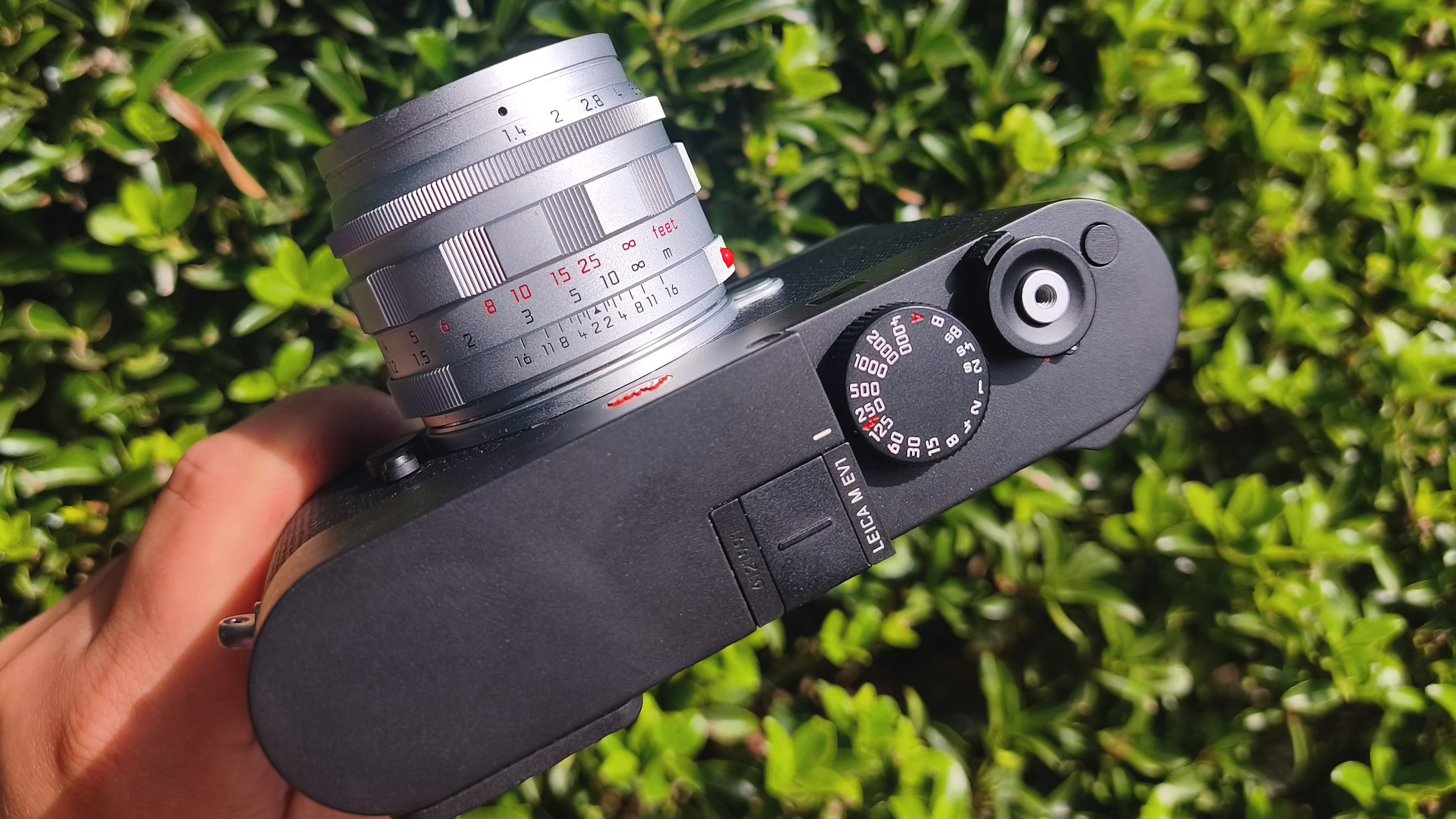 Leica 50mm Summilux f/1.4